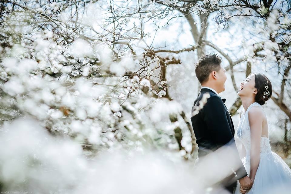 Dịch vụ du lịch kết hợp chụp ảnh cưới trọn gói – tiết kiệm & lãng mạn