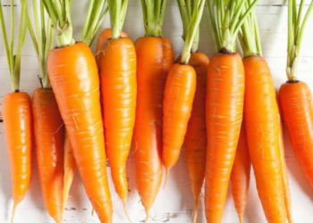 Tác dụng của cà rốt đối với sức khỏe