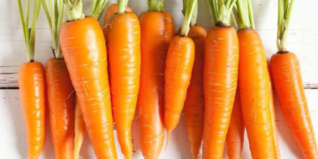 Tác dụng của cà rốt đối với sức khỏe